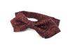 [HANG OVER] Paisley Pattern Bow Tie (WineBlack)