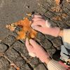 Plus Velvet Warm Touch Screen Gloves for Sweet Girls Korean Style Cute Knitted Wool Split Finger Cycling for Cold Proof Students