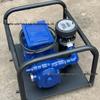 Single-phase Explosion-proof Vertical Pipeline Pump, 220V, Stainless Steel 304, for Gasoline and Diesel Transfer.