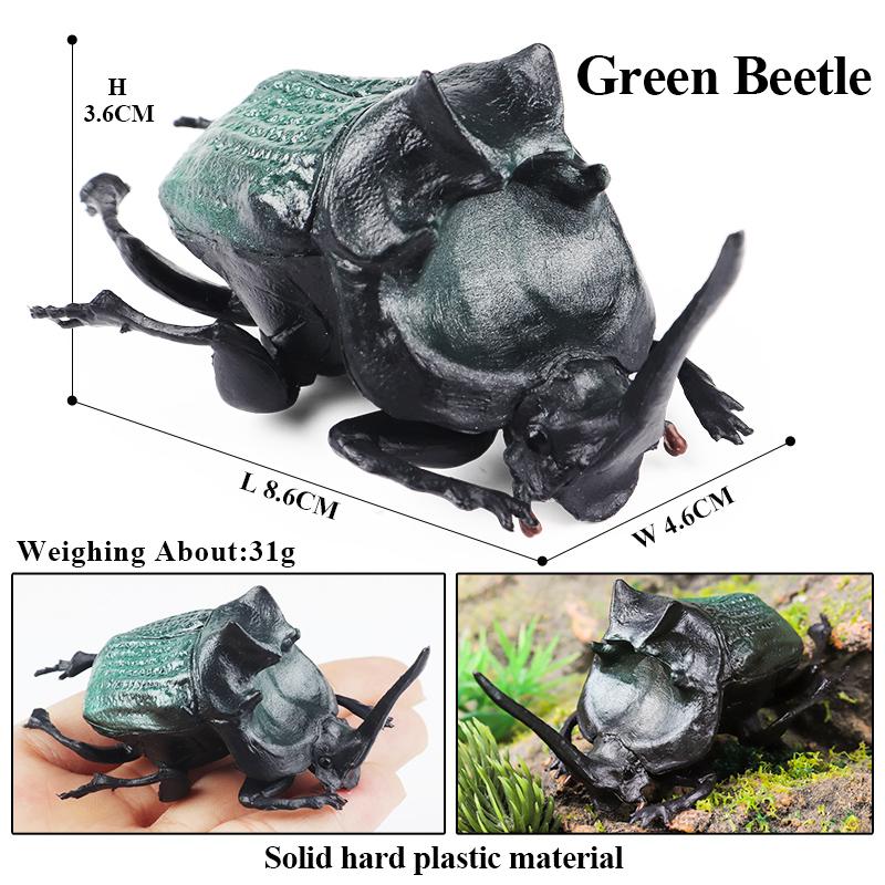 Oenux Wild Insect Animals Model Mantis Grasshopper Butterfly Bee Beetle Action Figures PVC Science Education Collection Kid Toy