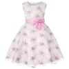 2026 Girls' Embroidered Princess Dress with Lace Trim - Formal Christmas Party Outfit