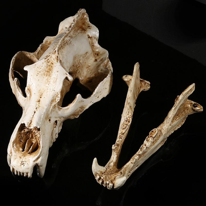 Movie Props Animal Model High Precision 1:1 Resin Crafts North Bear Skull