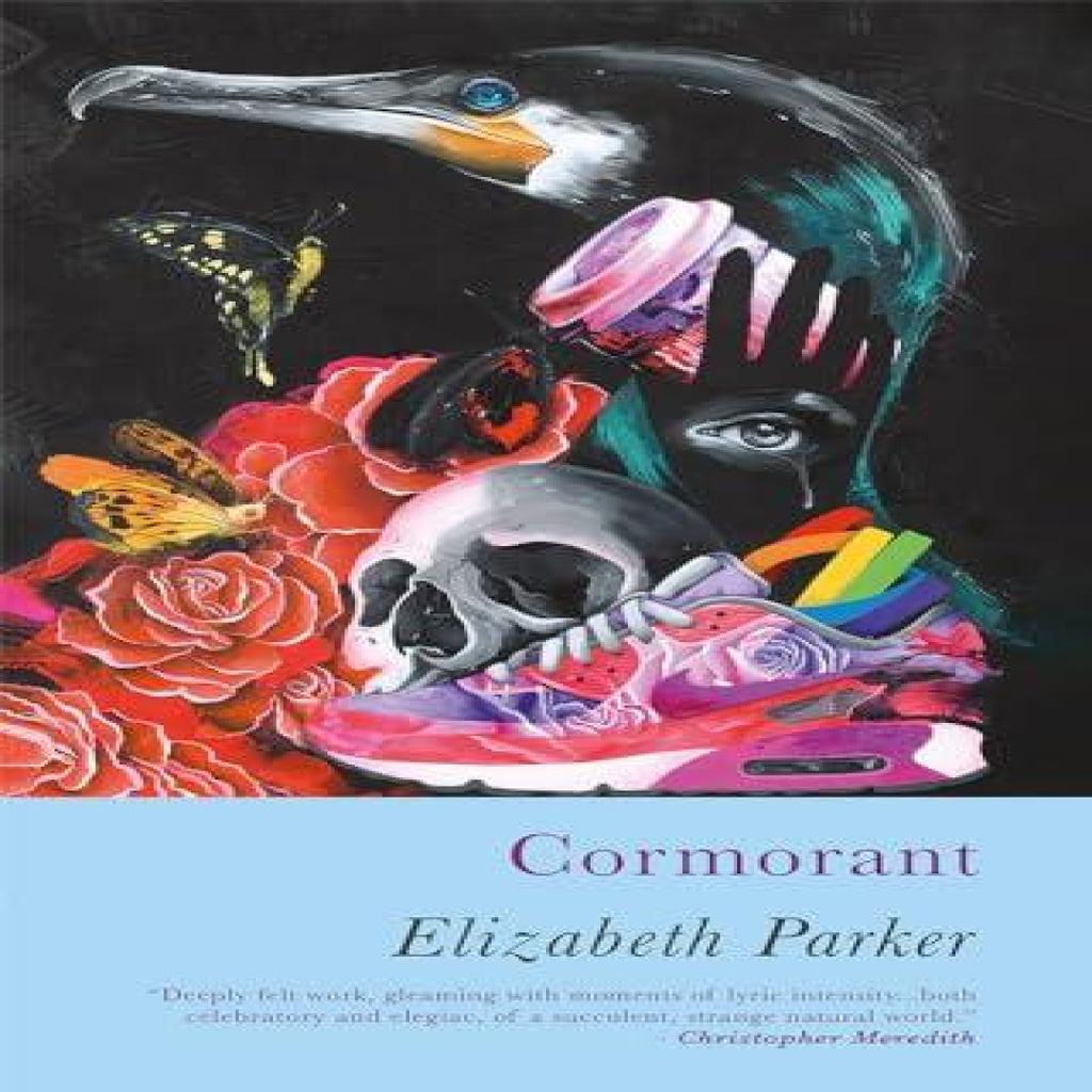 Cormorant by Elizabeth Parker Paperback Book 9781781727362