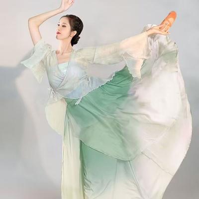 Classical Dance Costumes Chinese Style Dance Costumes Elegant Fairy Dance Costumes