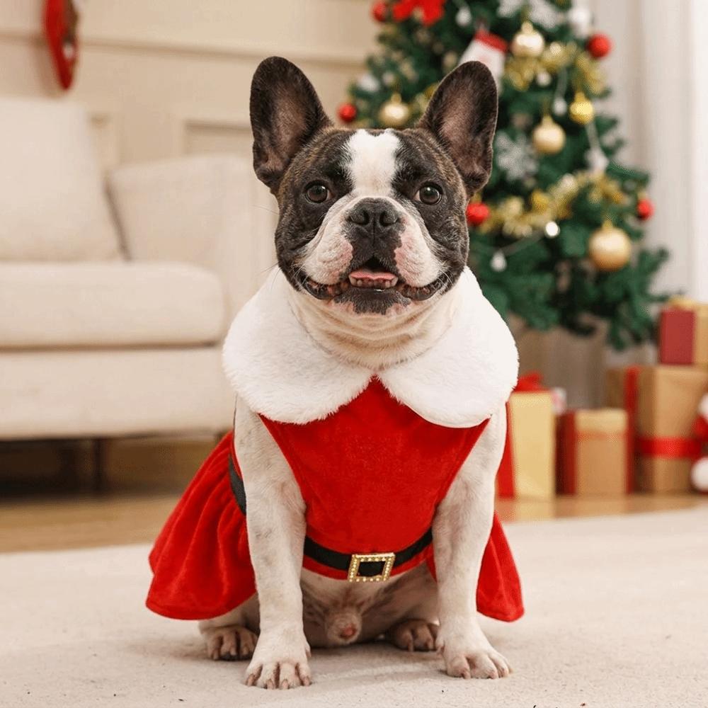 Warm Thick Lining Santa Dog Costume Adjustable Fit Winter Pet Apparel Family Holiday Photos