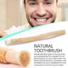 1 Pezzo Spazzolino Miswak Naturale Portatile Sbiancante Tradizionale per Denti e Bastoncino Manuale per la Cura dei Denti per Viaggio