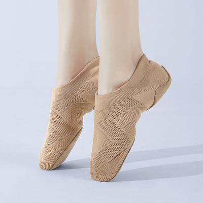 Jazz Dance Shoes Mesh Cheerleading Dance Shoes Soft Bottom Practice Low Top Lace Free Modern Teachers Dance Shoes
