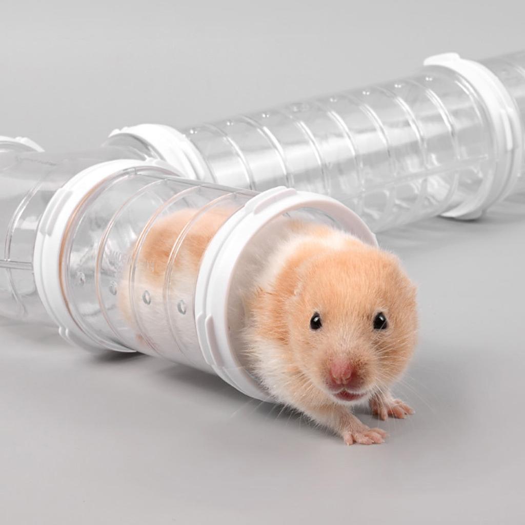 Hamstertunnel-Rohrspielzeug, Kaninchenspielzeug, durchsichtig, zum Selberbauen, Rohr für Hamster, Meerschweinchen, Rennmäuse, Spielrohr, Spielzeugrohr