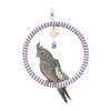Wear-Resisting Bird Toy Swing Hanging Parrot Perch Multi-Function Parrot Swing Ring  Cockatiel