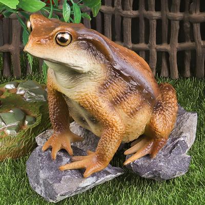 Laubfrosch Figur Realistische Kröten Statue Skulptur Ornament Dekoration Kinder Pädagogisch