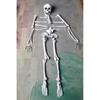 28 Pack Skeleton Bone and Skull Halloween Skeleton Bone Figurine for Halloween Spooky Graveyard Ground Decoration