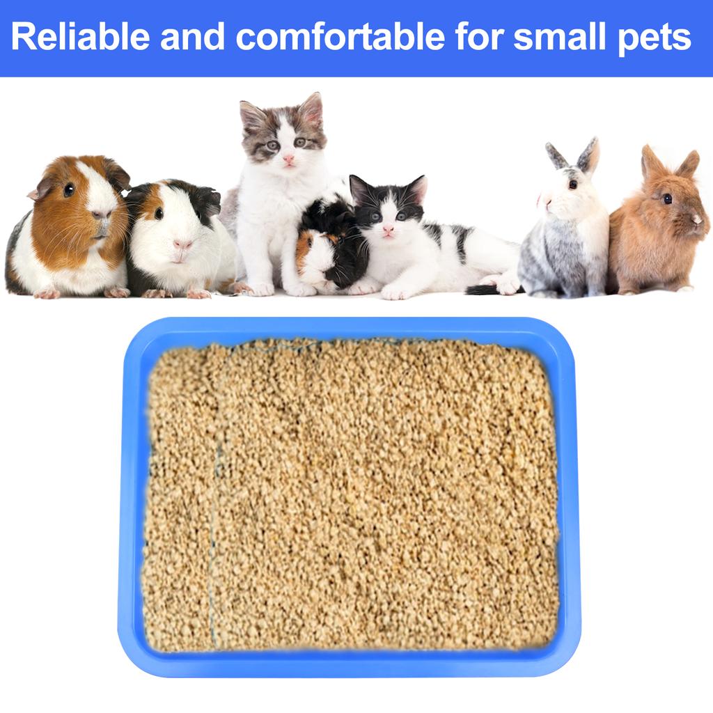 3 Pezzi Vaschetta Lettiera per Gatti 17.3X13.3X2.2 Pollici Lettiera Aperta per Gatti Vaschetta Lettiera per Gattini Per Gatti Coniglio Cavia Forniture per Piccoli Animali Domestici, 3 C