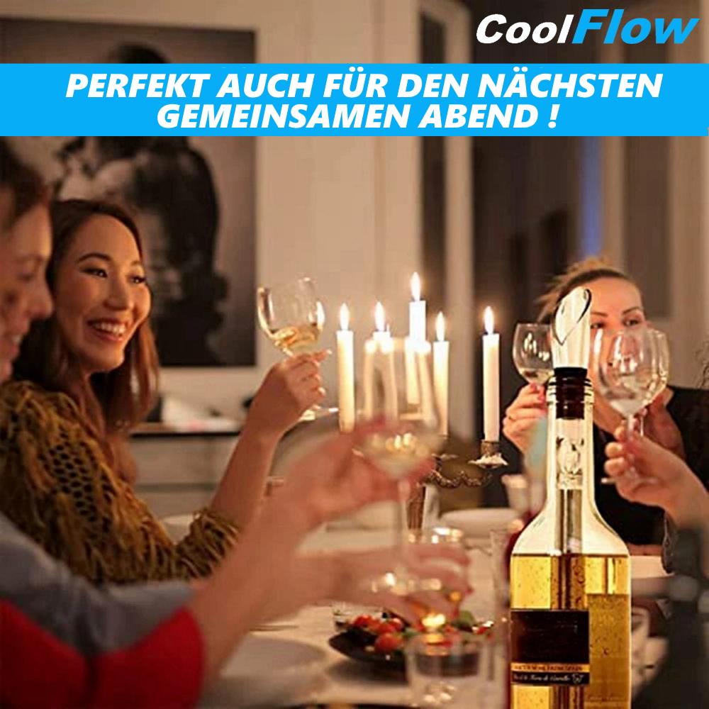 COOLFLOW Wine Chiller with Pourer Stainless Steel Decanter Bottle Cooler Wine Cooler