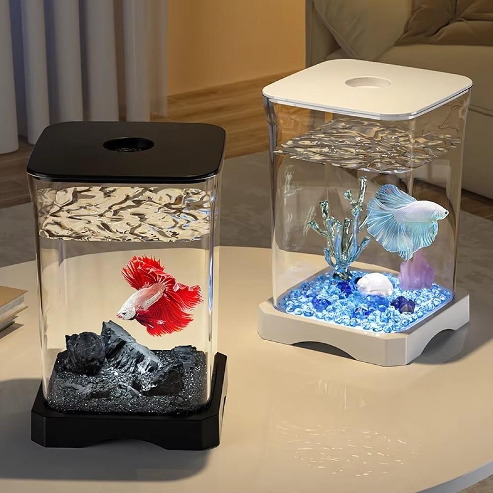 Acrylic Fish Feeding Box Multipurpose Transparent Tank New Small Tank