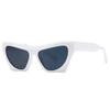 Fashion Vintage Cat Eye Sunglasses Women For Female Sun Glasses Punk Shades Luxury Brand Designer Sexy Ladies Popular Shades UV