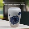 Blue & White Porcelain Flower Pot with Tray for Asparagus Fern, Money Tree, Orchid, Succulents & Bonsai 