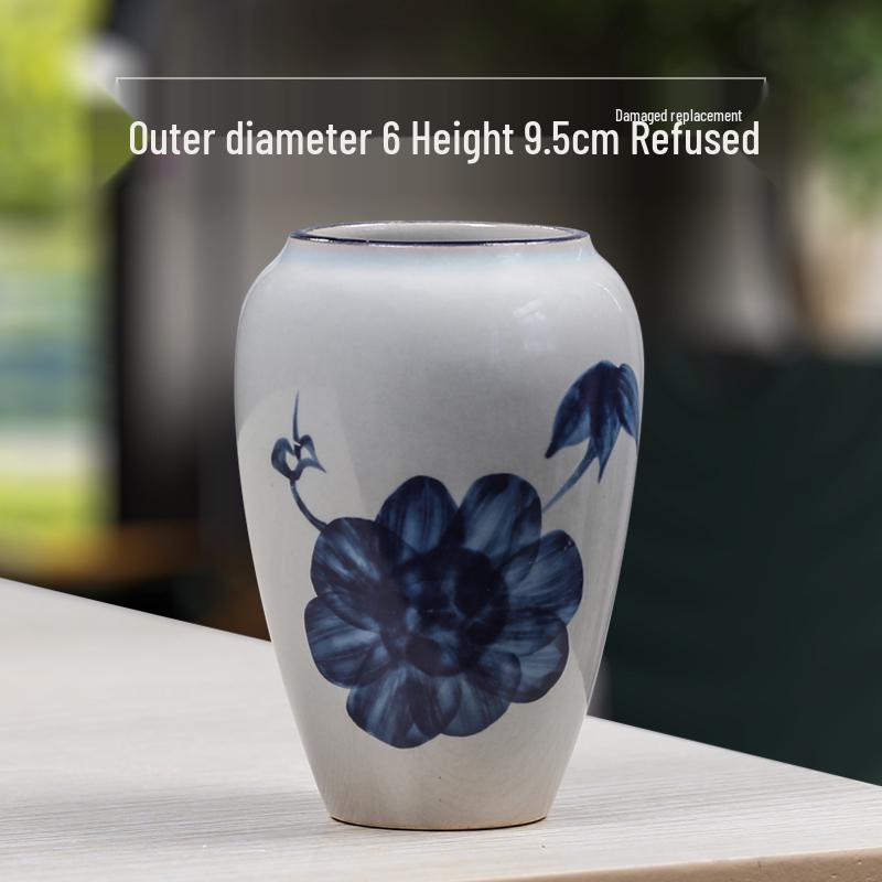 Blue & White Porcelain Flower Pot with Tray for Asparagus Fern, Money Tree, Orchid, Succulents & Bonsai