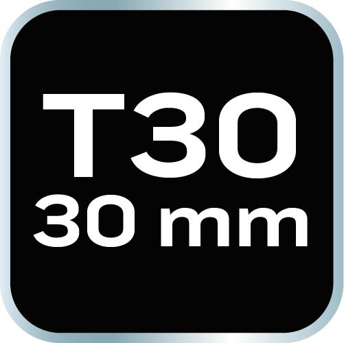 TORX Bit T30 X 30 Mm, S2 X 2 Pcs.