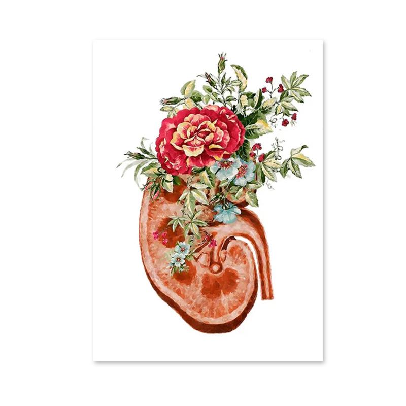 Flower Brain Heart Skull Organ Anatomy Wall Art Canvas Painting Medical Posters and Prints for Doctors Offices Hospitals Decor