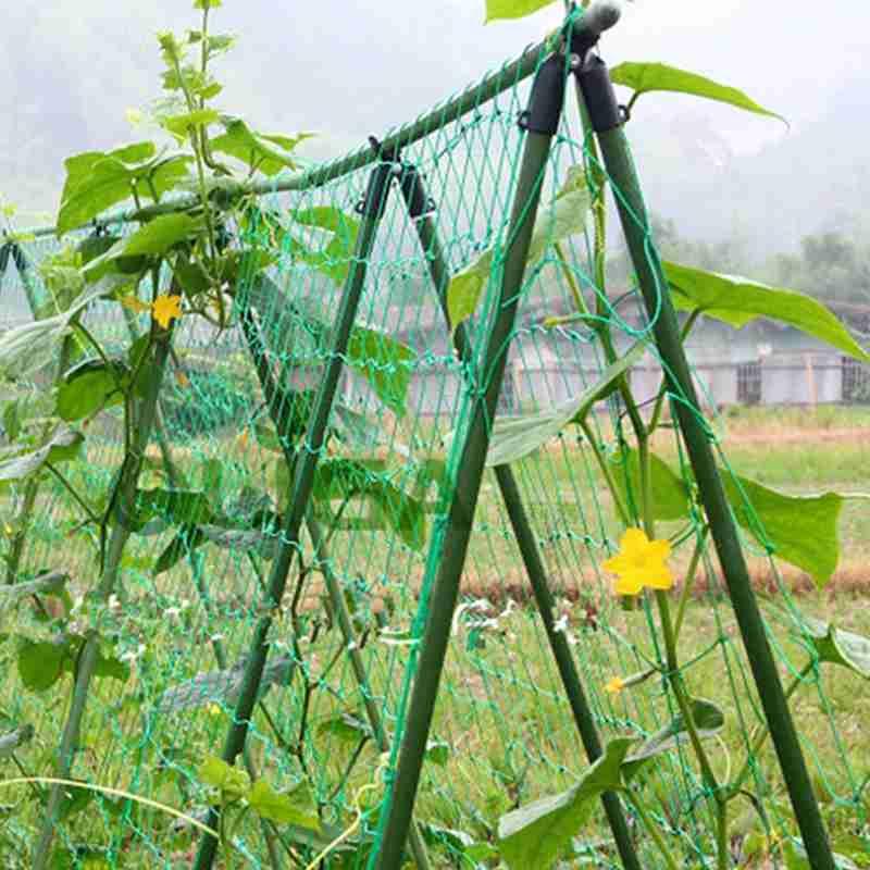 5PCS Anlage Unterstützung Markise Säule Zubehör EINE Clip Schnell Garten Up Stahl Klettern Reben Rohr Anlage Unterstützung Halterung Halterung set