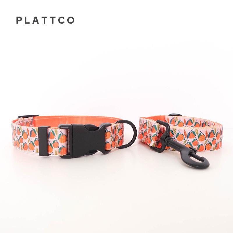 PLATTCO Custom Fashion Print Dog Leash & Collar PDC324 S
