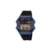 CASIO Custom Collection Quartz Movement Watch Men's Watches Black Dial AE-1300WH-2A(Watch5--)