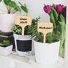 50 Waterproof Bamboo Garden Labels , for Outdoor and Indoor Plants, Seedlings, Vegetables, Plant Markers, Seedling Tags