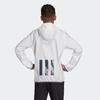 Adidas Grade School Jackets Hooded Moderate DV1677