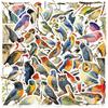 50 Cartoon Watercolor Bird Doodle Stickers Decorative Guitar Notebook Suitcase DIY Waterproof