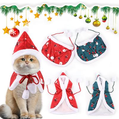 Kedi – Kediler için giyim