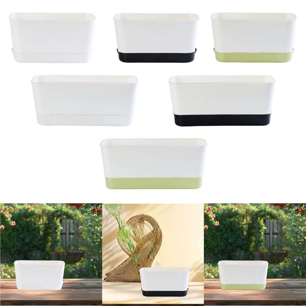 Compact Rectangle Planter for Indoor And Outdoor Vegetable Cultivation