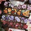60mm * 2m Kawaii Ins Shell Light Flower PET Sticker Tape DIY Handmade Scrapbooking Material Aesthetic Masking Tape