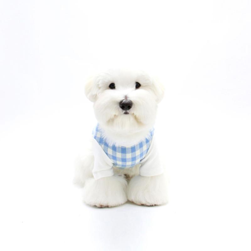 T-SHIRT KINIKINI BRUNCH CHECK-BLEU (T-shirt à manches courtes)