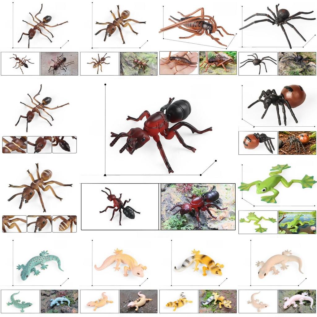 Educational Animal Insect Model Pack Plastic Figures Kid Learning Schooling Home