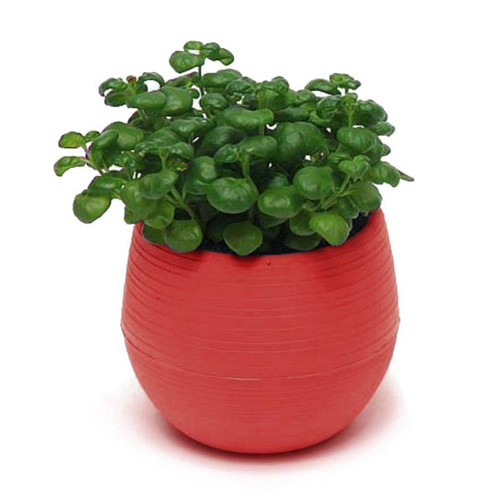 2 Layer Drain Hole Succulent Pot Mini Flower Pot Desk Green Plant Flowerpot Nursery Pots Home Garden Decoration Planters