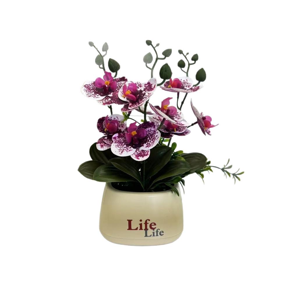Butterfly Orchid Artificial Plant For Photography Decor And Home Styling