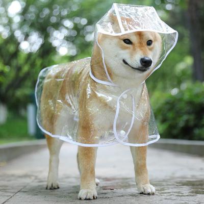 Impermeabile per animali domestici Trasparente con bottone automatico con cappuccio Design minimalista Morbido cane Antivento regolabile Abbigliamento antipioggia per animali domestici