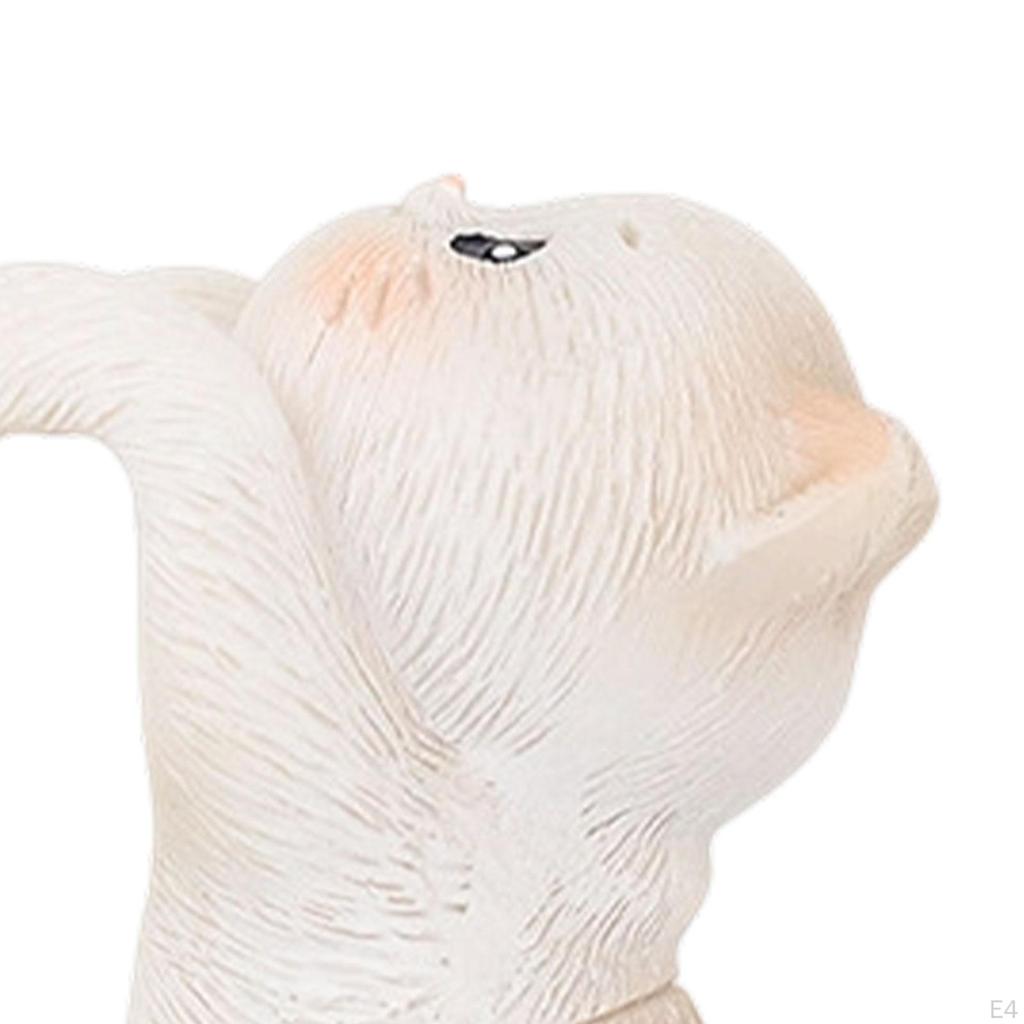 Ogród Statua Kota Doniczka Przytulanka Figurka Dekoracja Miniaturowy Wieszak na Doniczkę Wiszący Wazon