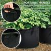 1PC Fabric Plant Pots Grow Bags 10 Gallon Gardening Vegetable Tomato Strawberry Growing Planter Containers with Sturdy Handles