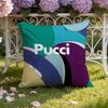 iEMILIO P-PUCCIS S.p.A Cushion Cover Home & Car Dual-Scene Pillow Cover: Reversible for Premium Comfort