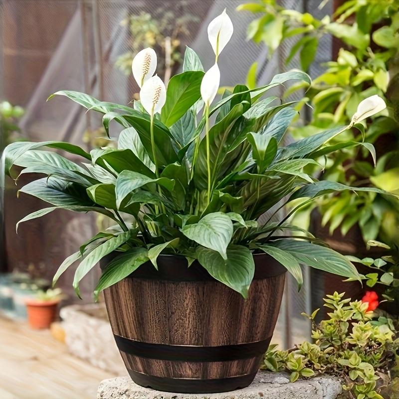 

1 шт. Винтажный горшок для цветов в виде бочки из-под виски, садовый горшок с полосатым узором из смолы, дренажным отверстием и блюдцем, повседневный стиль, пластиковый овальный контейнер для растений для трав 1 Pack