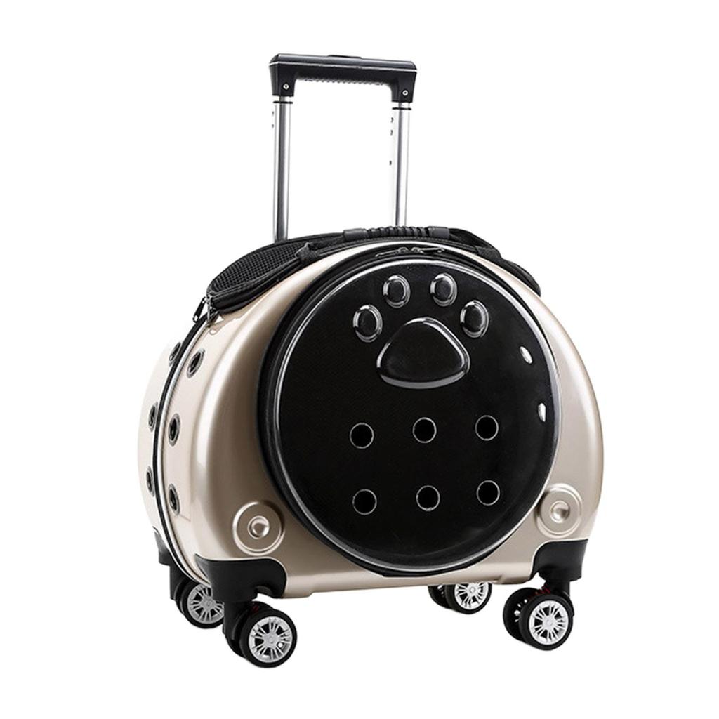 Carrying Bag for Cats, Pet Bubble Small Dogs, Rabbit, Vent Cats , Golden