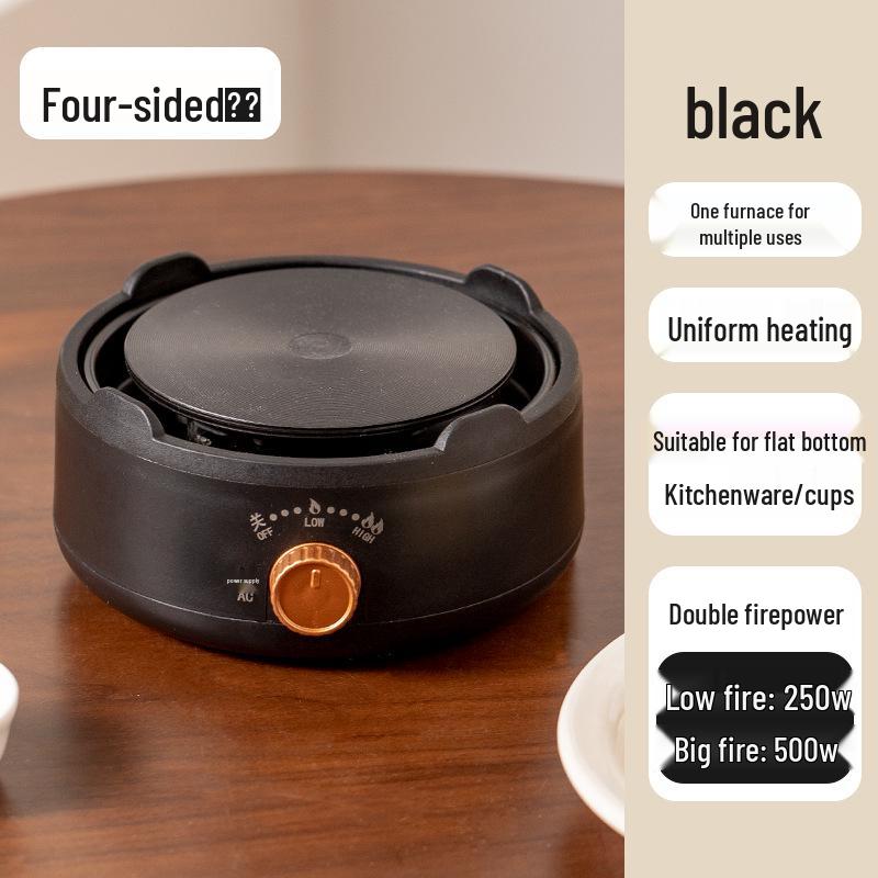 Multifunctional Mini Electric Teapot and Tea Brewer