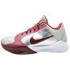 Zoom Kobe 5 Protro Lower Merion Aces