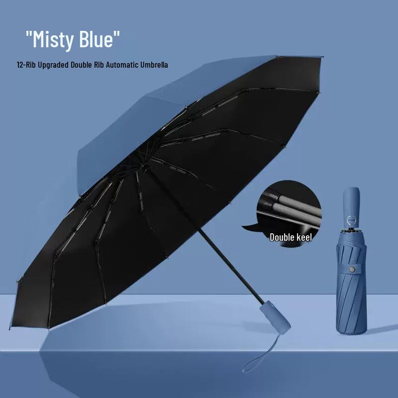

12-Rib Automatic All-Weather Folding Umbrella