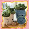 Lifelike Succulent Plants Plush Stuffed Toy Featuring Super Soft Fabric Ideal For Kids