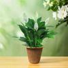 3pcs Biodegradable Nursery Pots Coconut Fiber Flower Pot  For Plant Garden Supply