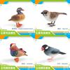 Realistic Quality Animal Models Featuring Duck Sparrow Finch And Tit Ideal For Collectors And Nature Inspired Home Decor