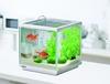 GEX Goldfish Genki Cube Set, Aquarium Size: Approx. W20 x D20 x H20cm, Water Capacity: Approx. 6L, White Frame Width: 20cm