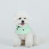 DR.BREEDS Windbreaker for Walking (also Raincoat) Bichon Frise_Pistachio